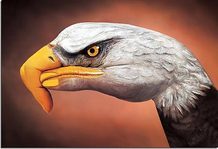 25P ANIMAL HAND - PAINTING