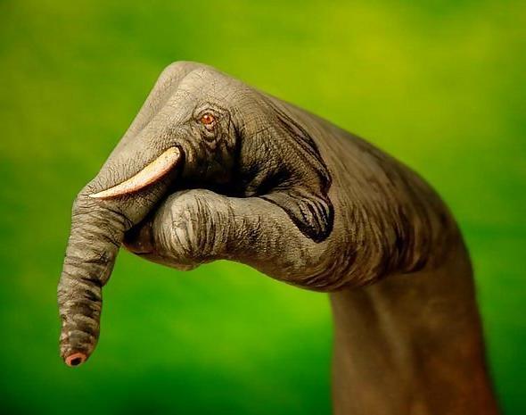25P ANIMAL HAND - PAINTING