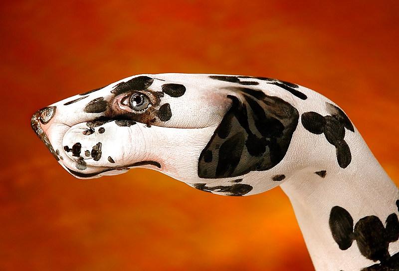 25P ANIMAL HAND - PAINTING