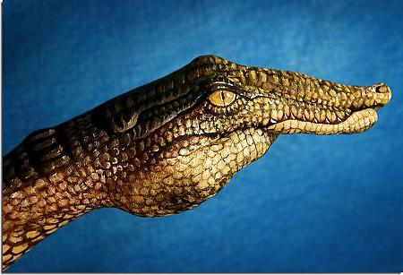 25P ANIMAL HAND - PAINTING