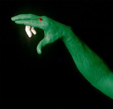 25P ANIMAL HAND - PAINTING