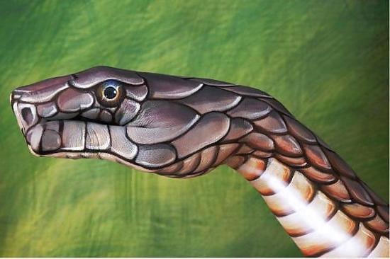 25P ANIMAL HAND - PAINTING