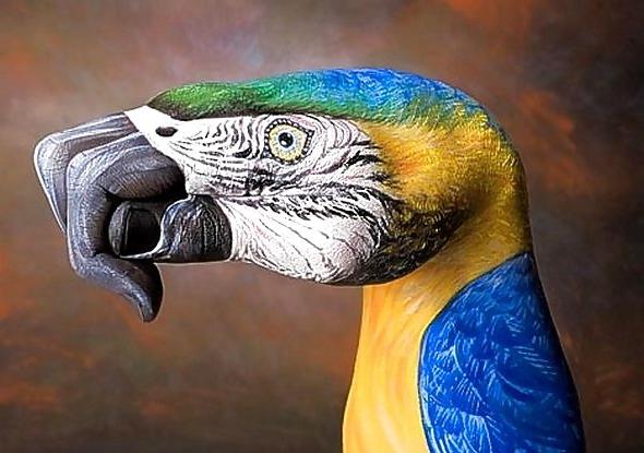 25P ANIMAL HAND - PAINTING