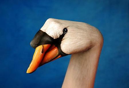 25P ANIMAL HAND - PAINTING