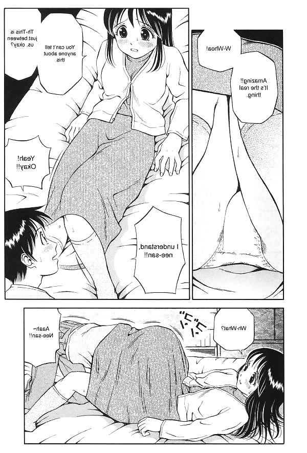 20P A Brother's Request (Hentai)