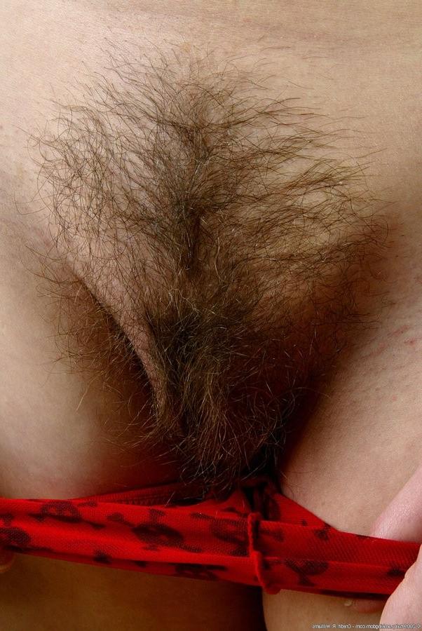 15P Busty And Hairy Sexy Amateur Girl Showing Off Her Curves