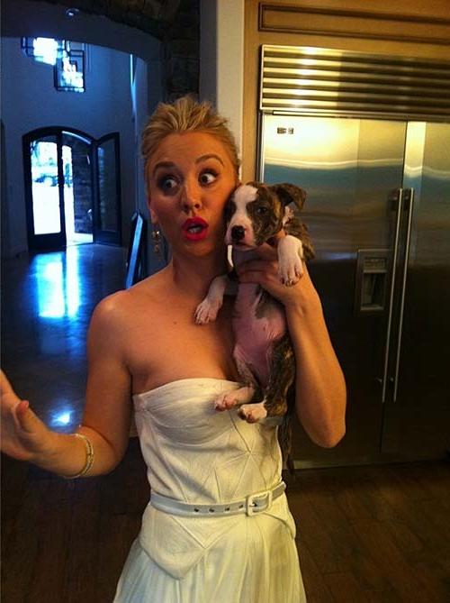 16P Kaley Cuoco exposing sexy body and huge boobs in see thru blouse