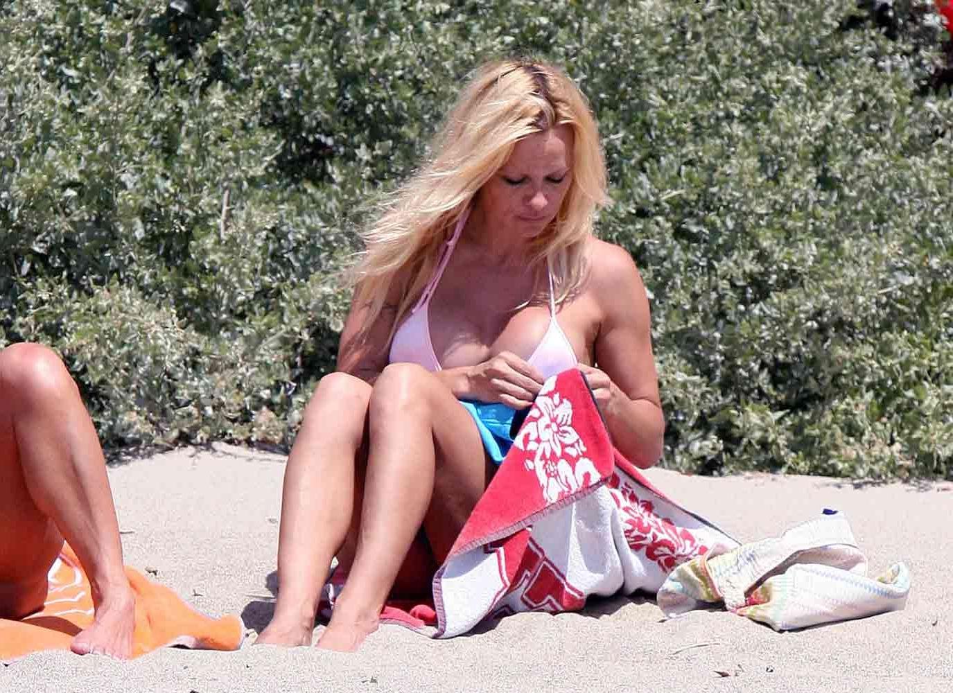 15P Pamela Anderson milf that still have nice ass