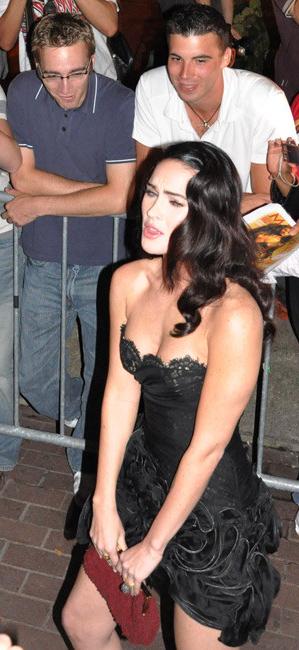 16P Megan Fox gorgeous tease posing in sexy dress