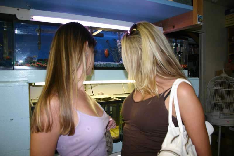 16P Double ended dildo lesbian fun