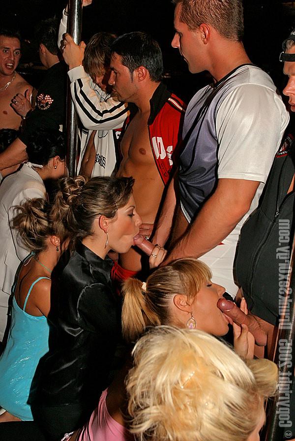 15P Drunk glamour ladies sucking cocks in a line