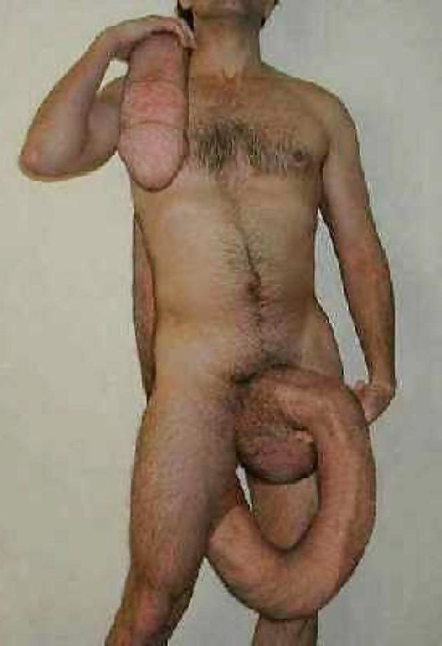 25P A MATEUR ... 