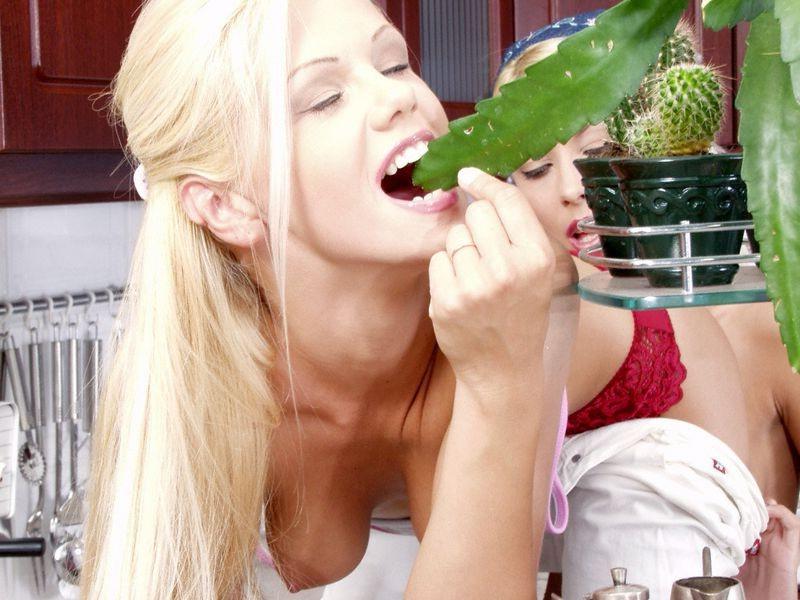 16P Lollipop gets all the action these two lesbians have to offer