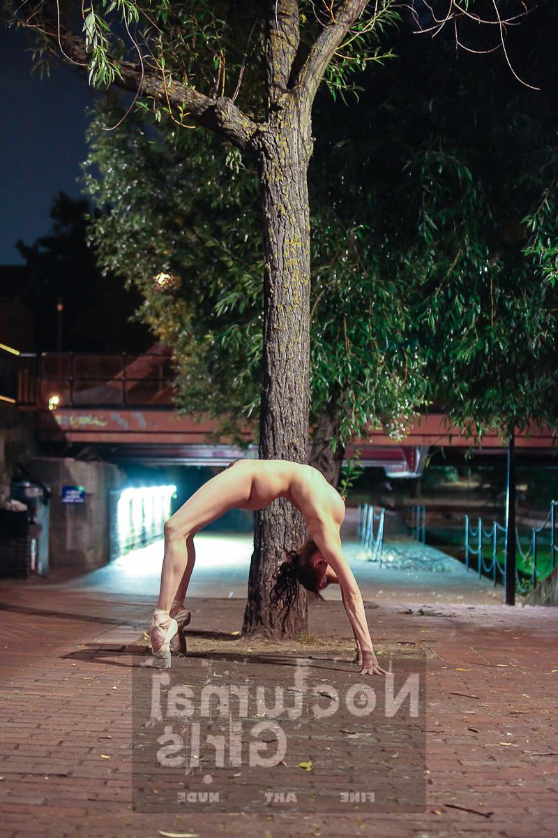 8P A girls is posing nude in the night time outdoor