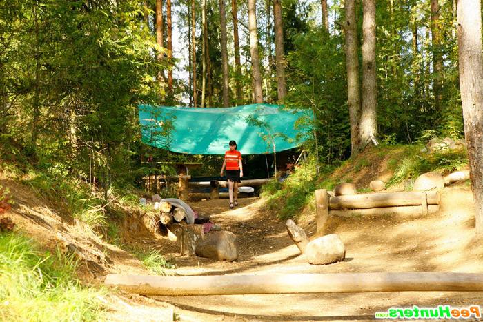 16P Careless puss peeing on a beautiful forest glade