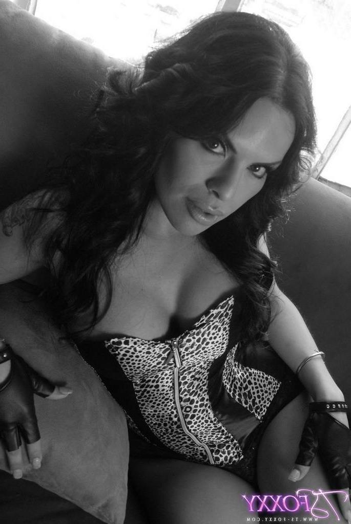 16P Shemale posing in a sexy corset
