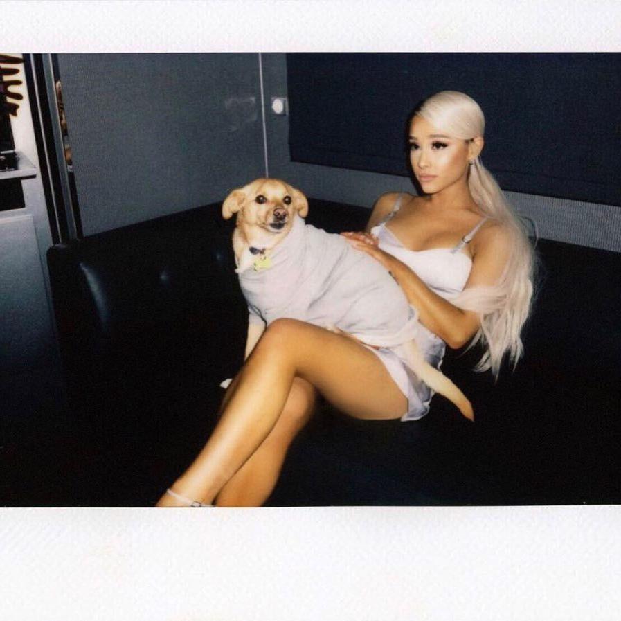 25P Ariana Grande Sexy