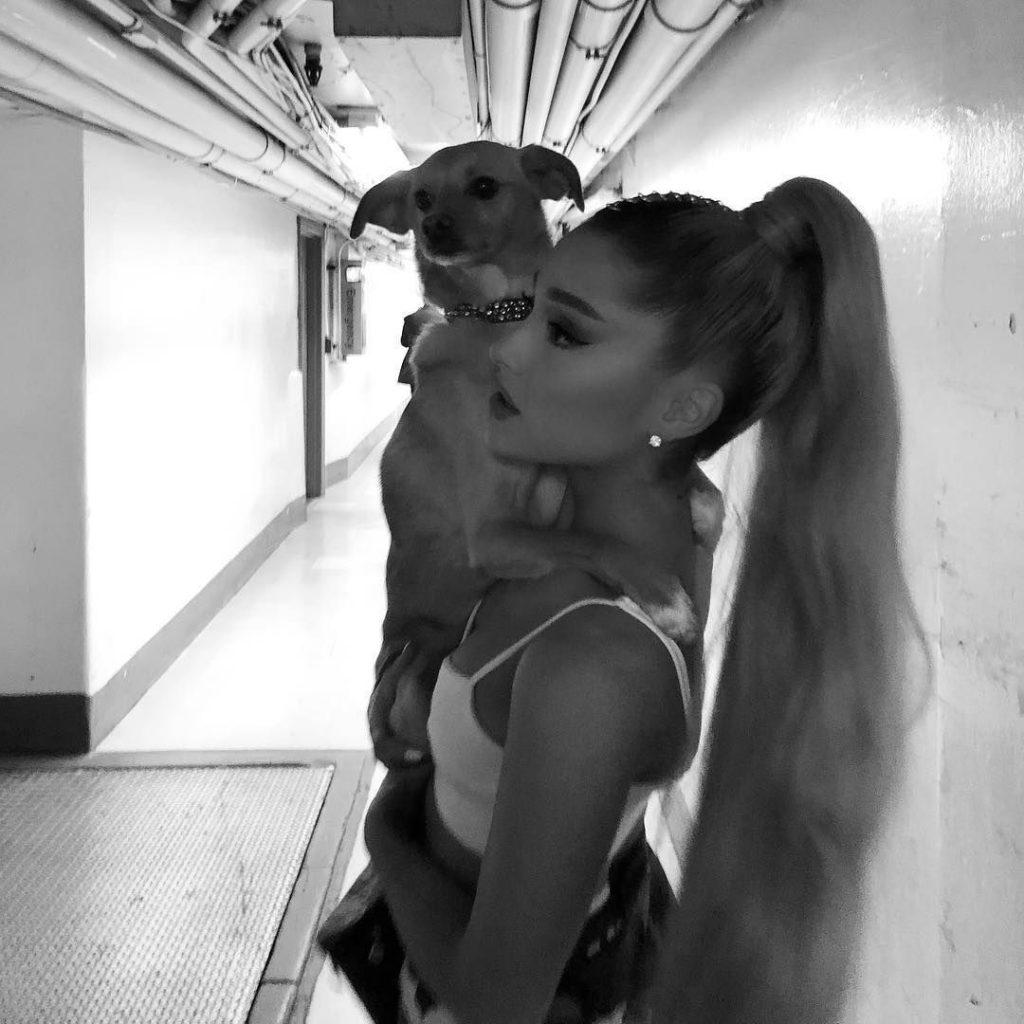 25P Ariana Grande Sexy
