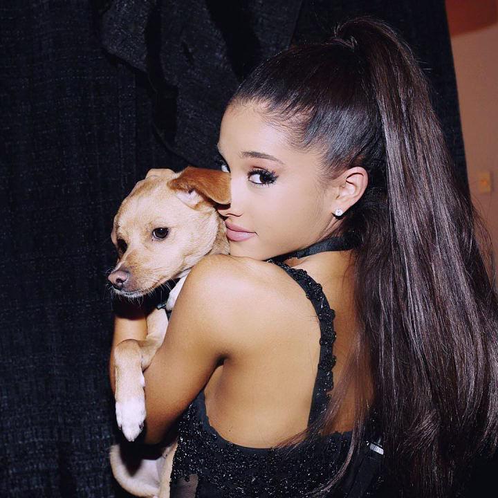 25P Ariana Grande Sexy