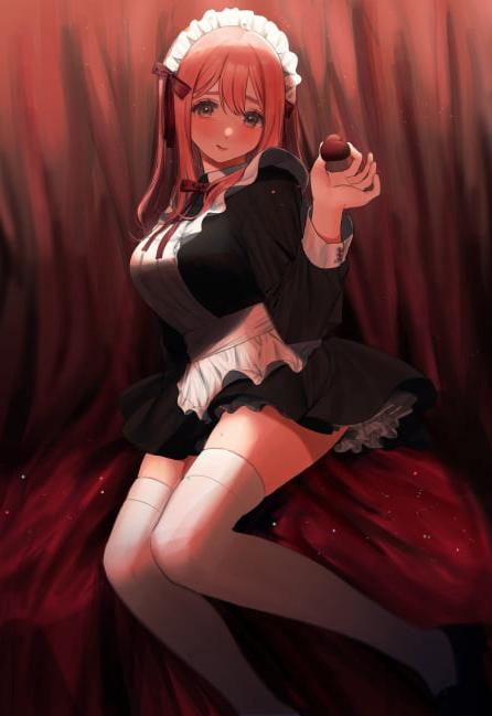 25P Maid Costume
