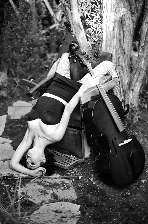 8P Kestrin Pantera Sensual Cellist