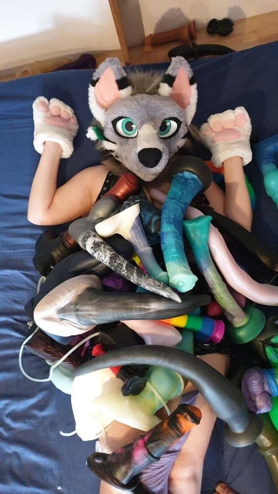 11P my  Toys