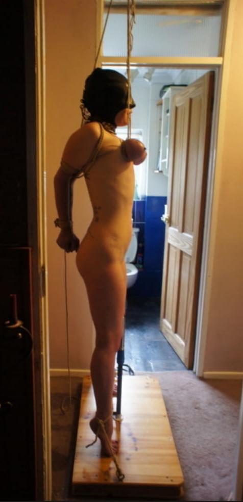 25P Tit hang
