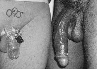 23P Cock and BULL