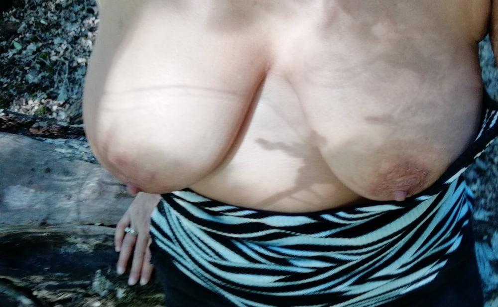 15P Tits out in the forest