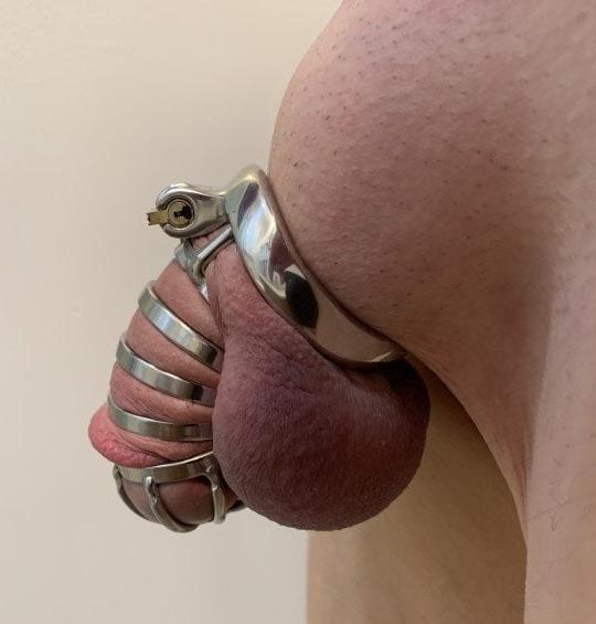 25P Life in Chastity