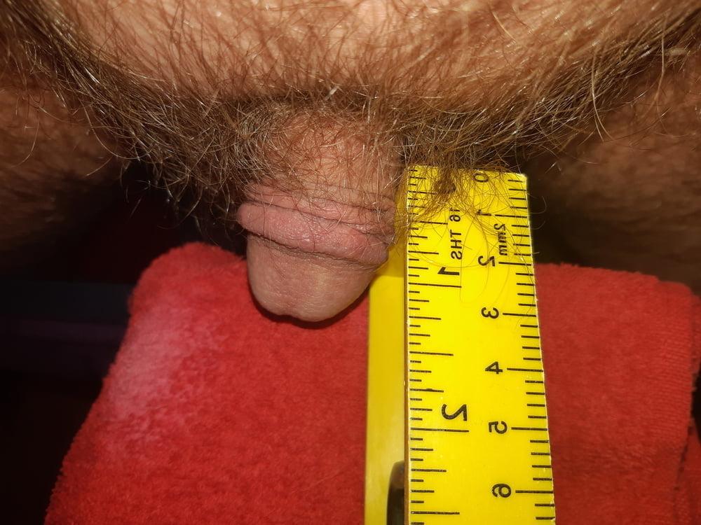 11P favorite small white cock