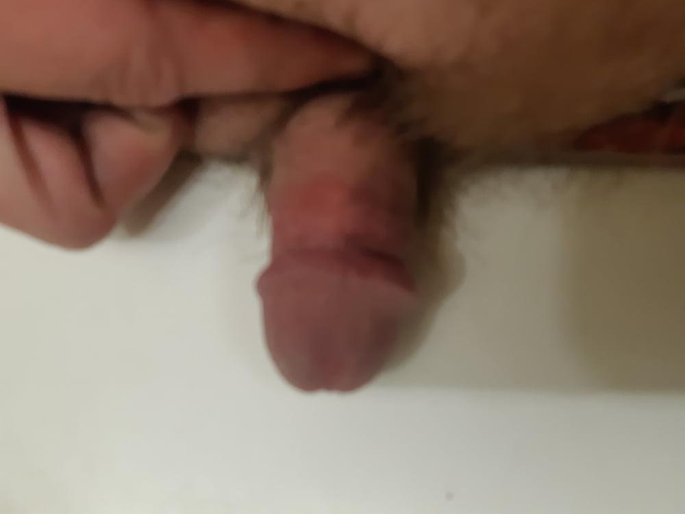 11P favorite small white cock