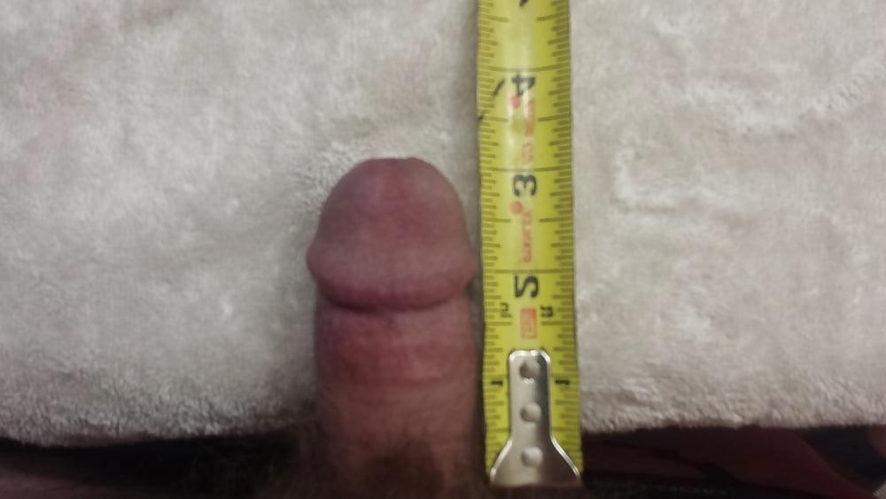 11P favorite small white cock