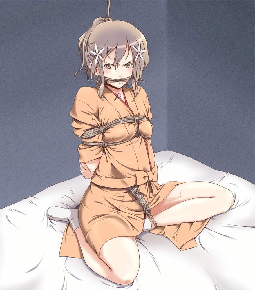 25P hanasaku iroha