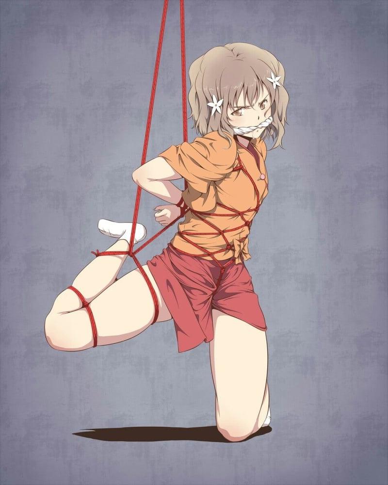 25P hanasaku iroha
