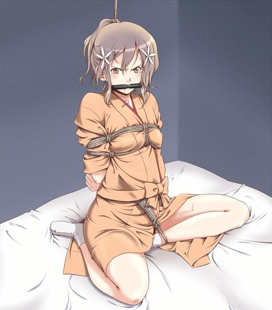 25P hanasaku iroha