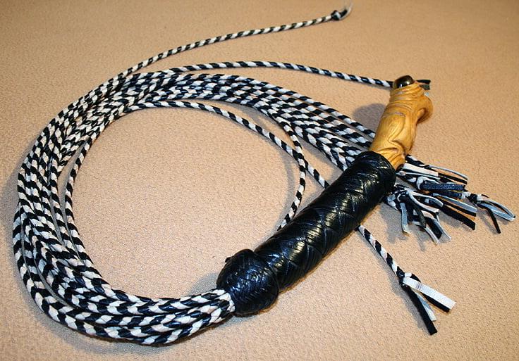 6P Tigers Eye. 12-tail teaser