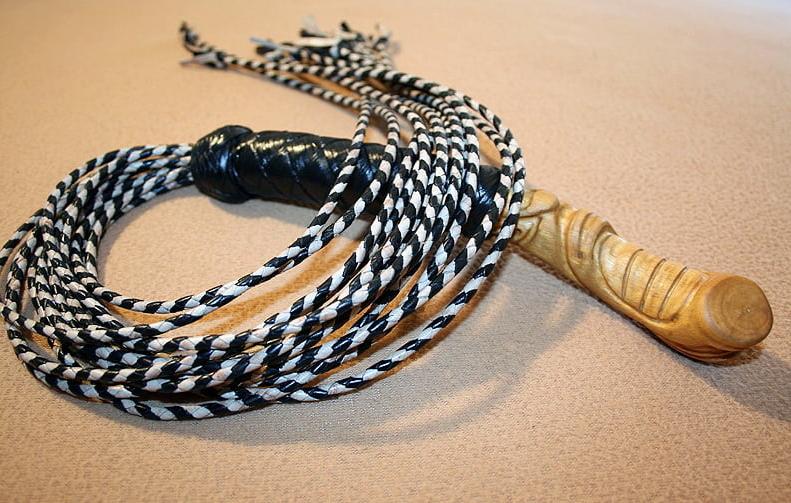 6P Tigers Eye. 12-tail teaser