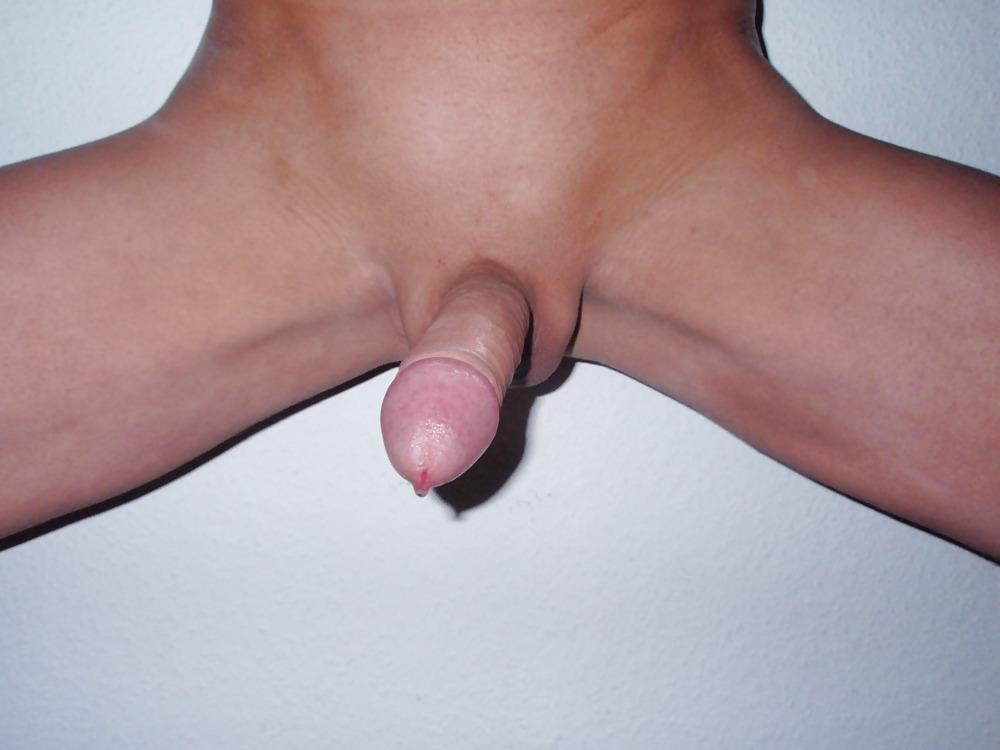 17P Mein Schwanz cock pussylover dick 