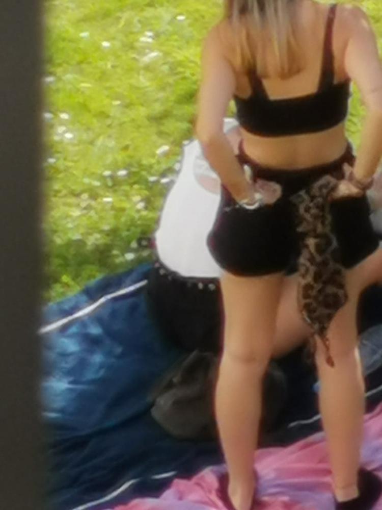 25P French Summer post Covid 19 Taken from me