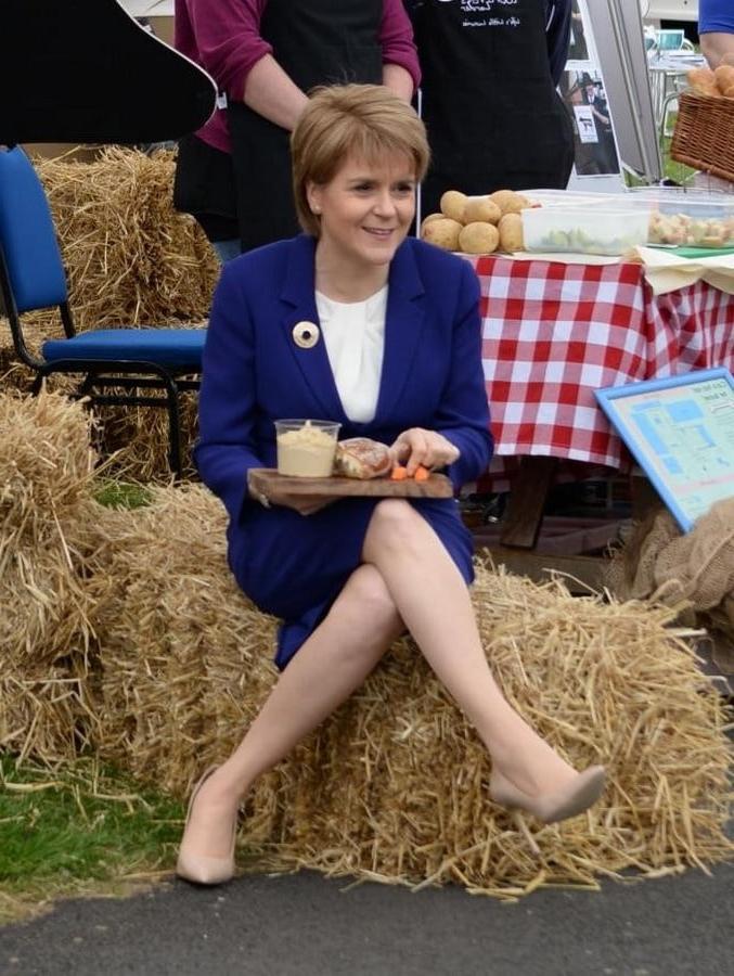 25P Nicola Sturgeon - Scotland's First Minister in Pantyhose