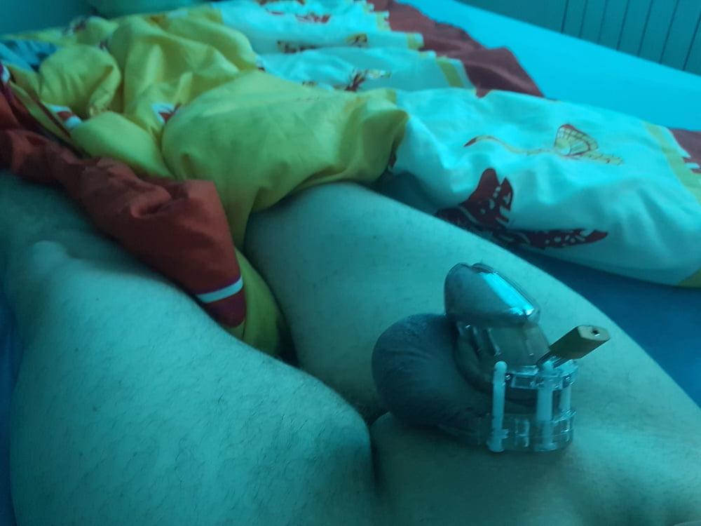 6P chastity