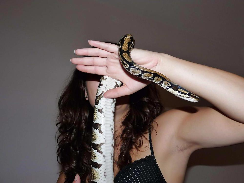 25P SNAKE BEAUTY