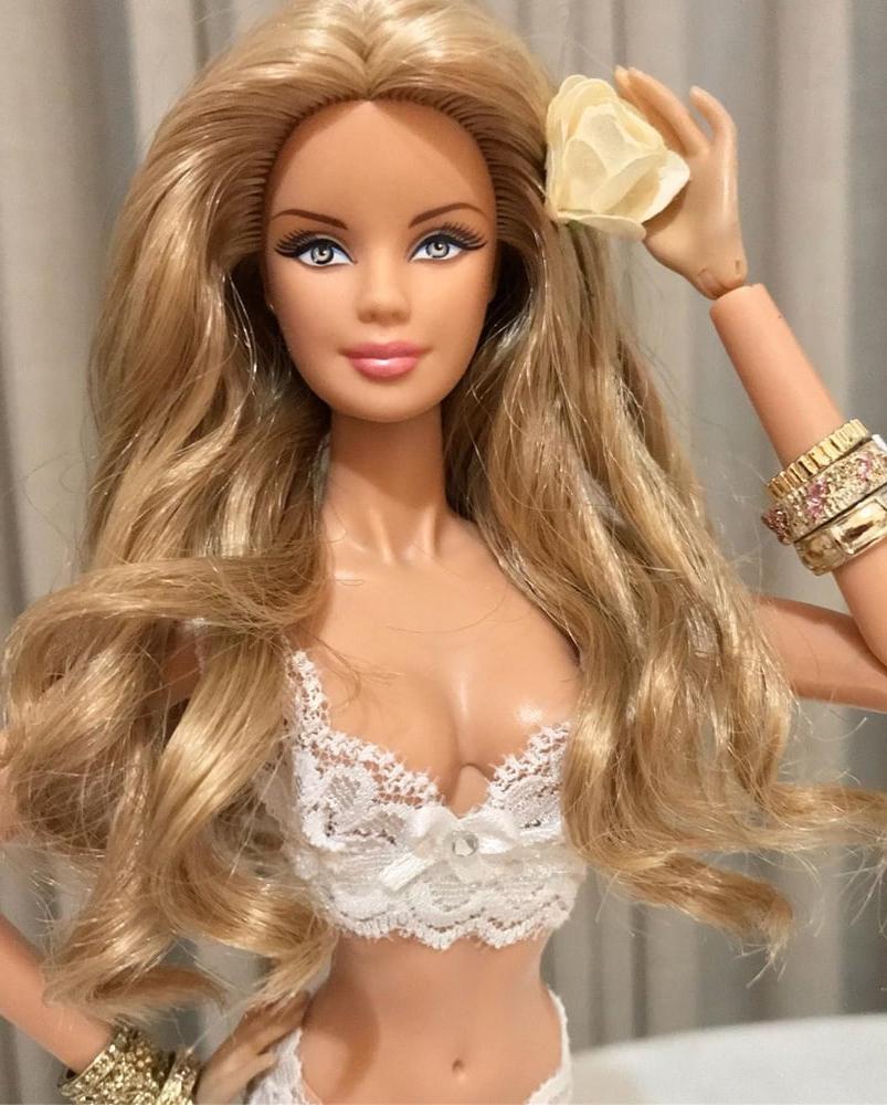 23P My Barbie Dreams from the Web 1