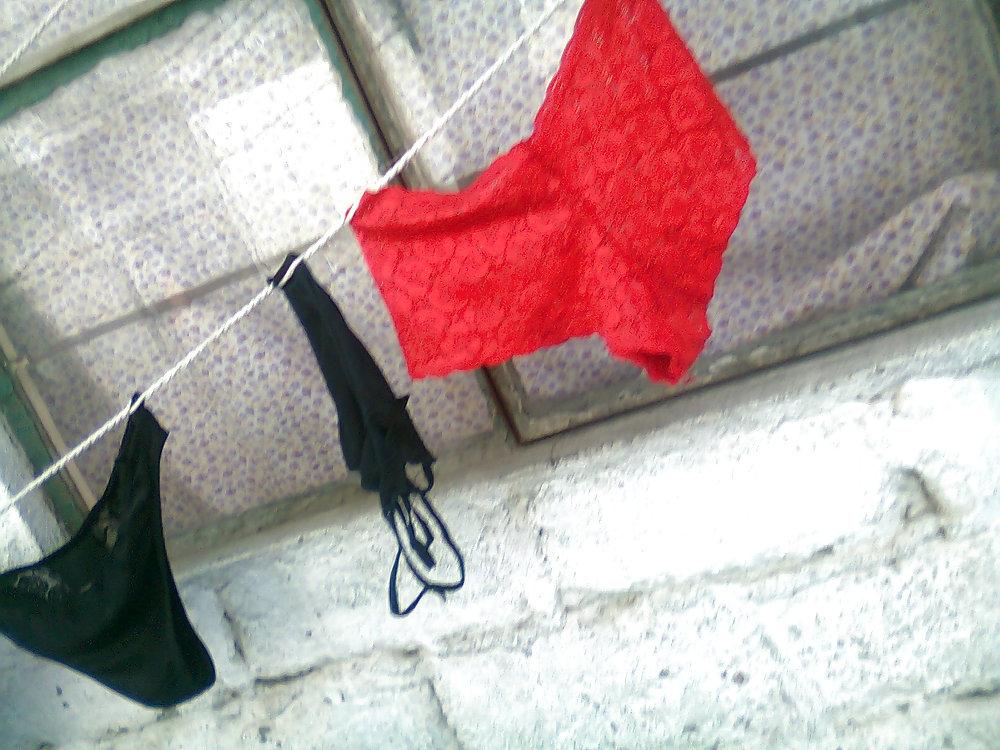 10P Panty cunis