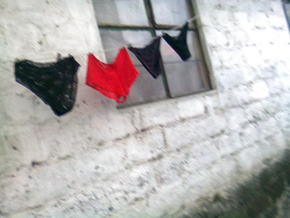 10P Panty cunis