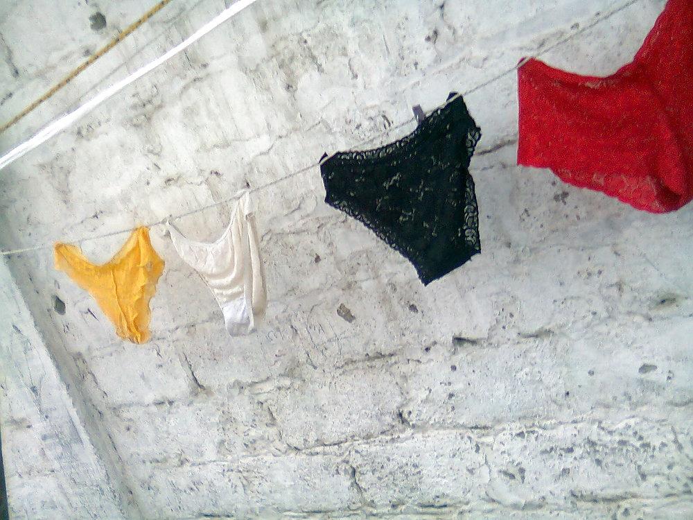 10P Panty cunis