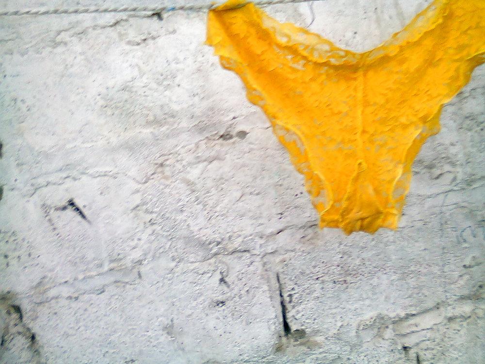 10P Panty cunis
