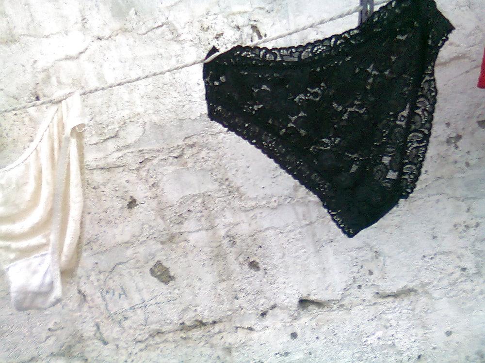 10P Panty cunis