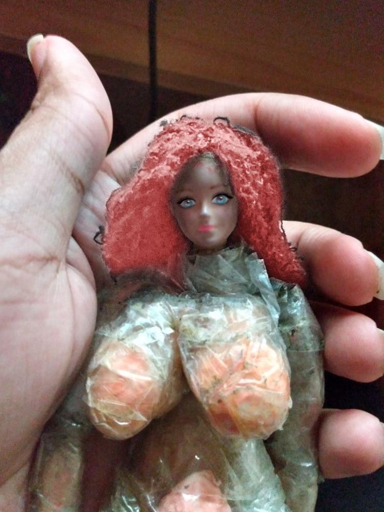 25P Sakura Rose(Mini Barbie figure sex doll) 2